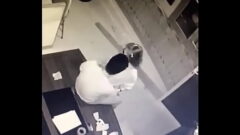越南雏妓