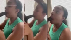 Mi jornalero chupandome el miembro como un ternero